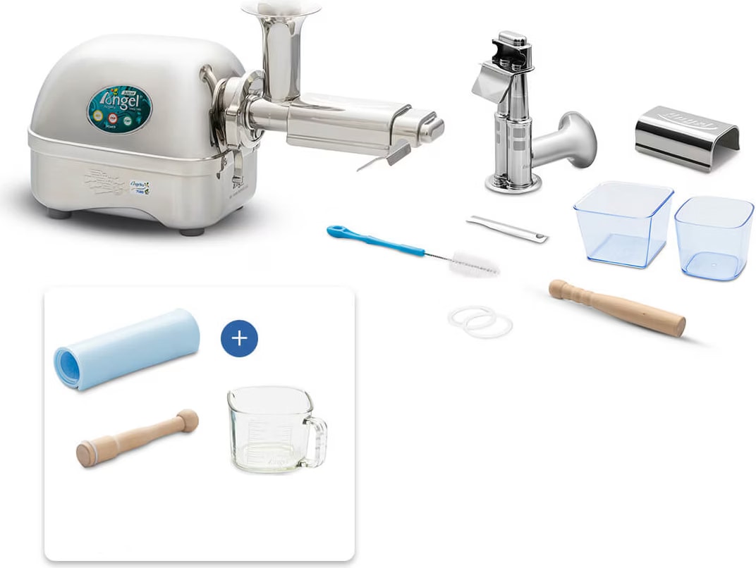 Angel Juicers Angel 7500 - buy at Digitec